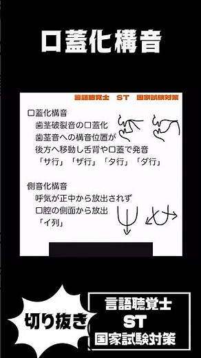 口蓋化構音 側音化構音 声門破裂音 咽頭摩擦音 鼻咽腔構音 どのように産生される？