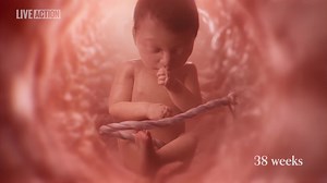 506K views · 2.9K reactions | When should this life be protected? Text LIFE to 47581 to learn more! | Live Action | Facebook