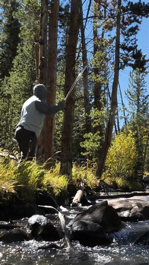 The Simplest Rig in Fly Fishing (And When to Use It)