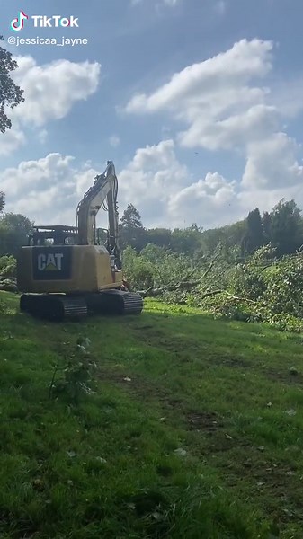 Tree shearing and winching ash die back #caterpillar #treeshearing