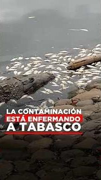 La contaminación está enfermando a Tabasco.