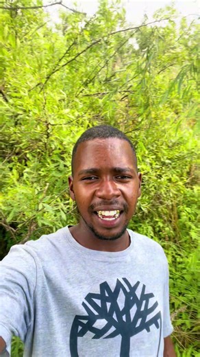 YAMACALA SOLUTIONS (@inyanga.yamacala5)’s videos with Adullam - souds of heaven