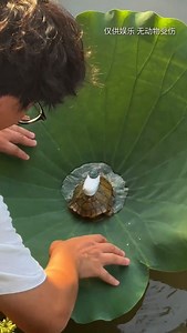 456K views · 115 reactions | Tiny Cameras, Big Imagination  From...