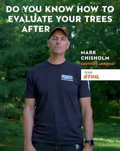 Certified arborist, Mark Chisholm, shares tips to help protect yourself and your property after a storm. | STIHL