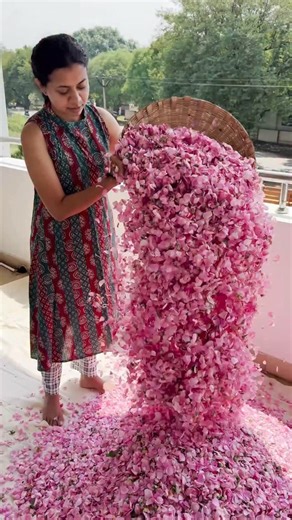 AyurBlends Natural Care™ on Instagram: "✨🎉🎁 YEAR END SPECIAL at AYURBLENDS!!!! ✨🎉🎁 🌿 We rarely run offers… but this one is EXTRA SPECIAL! 🎉 FLAT 20% OFF on ALL products 🎁 FREE GIFT on EVERY purchase 💸 NO minimum order value! This is a once-in-a-while opportunity to stock up on your favorite Ayurblends essentials 🌱💚 ⏳ Limited-time Year End Sale – don’t miss out! 👉 Shop now & treat yourself naturally! 🛍️ Hurry before it’s gone! ✨"