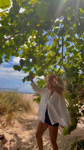 Talia Perez on Instagram: "Alcohol is losing its grip, church doors are filling again, bodies are being trained instead of numbed, and people are waking up with a strange clarity they can’t fully explain. This is what happens when a culture hits the wall of its own excess. The promise of “do whatever feels good” collapsed under the weight of anxiety, addiction, depression, and loneliness. Scripture warned us this moment would come: “There is a way that seems right to a man, but its end is the wa