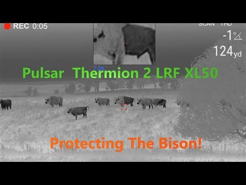 Pulsar Thermion 2 LRF XL50: Protecting The Bison: KC Ep. 200