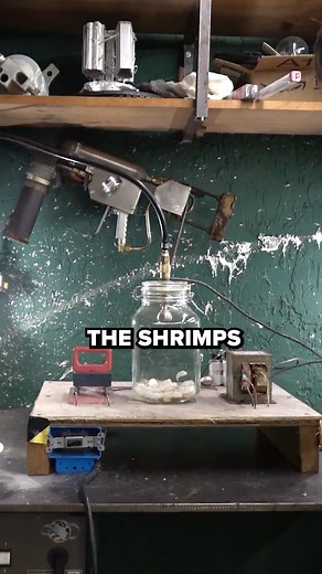 23K views · 347 reactions | The Backyard Scientist on Reels | Facebook