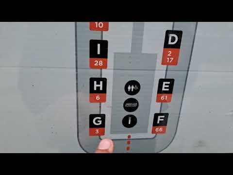 The Newest Map of Miway in the City Centre Transit Terminal