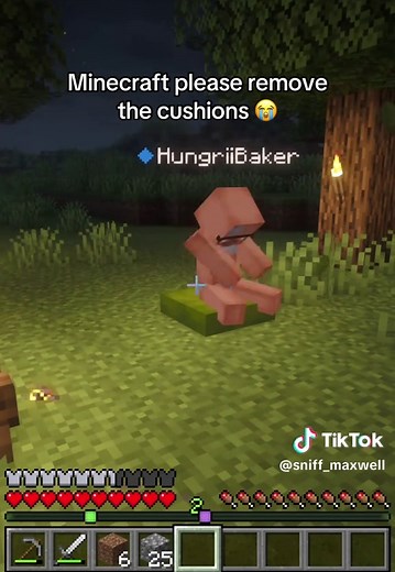There goes the two week phase 😭 #minecraft @Crispy Freakin Frog🐸 @Mikroon