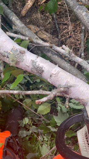 Today is a momentous occasion here at Cedar Grove Sauna, so here’s a compilation of 18 months of work that led to us having delicious water across our campus. In summer ‘24 while I was dreaming up our new HQ, my friend Mark came up with a cool idea: drill one well, build a pump house, pipe water 1/3 mile underground in multiple directions. This would reduce the redundancy of multiple wells/pumps. Our well gives a generous 70 gallons/minute, but upon first sight/taste/smell, the water was insanel