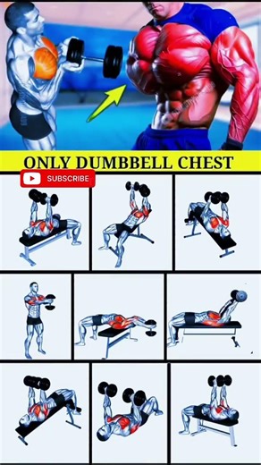 Best chest workout with dumbbells #best #chest #workout #with #dumbbells #chestworkout #yoga #gym