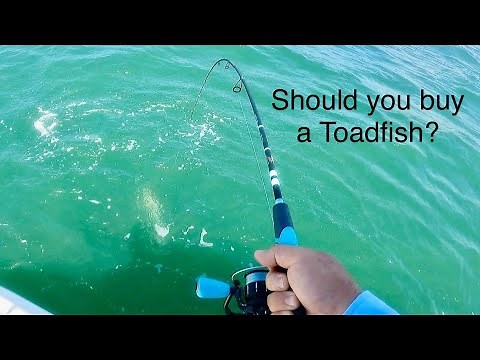 Toadfish Review 6'8" Two Piece Combo with 2000 Reel