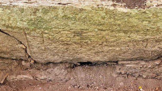 Ancient Mayan city discovered deep in Mexican jungle