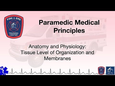 Paramedic 2.09 - Anatomy and Physiology: Tissue Level of Organization and Membranes