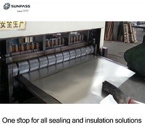 [Hot Item] Expanded Graphite Sheet with Perforated Stainless Steel