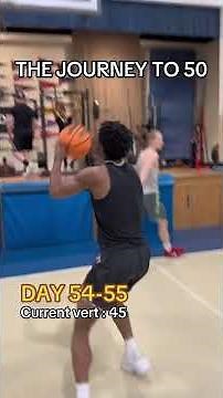 ZEROBOUNCE JOURNEY TO 50 DAY 54-55