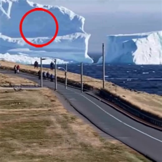 Iceberg floats near the local village. When people see something move on it, they were terrified 😨 | World History