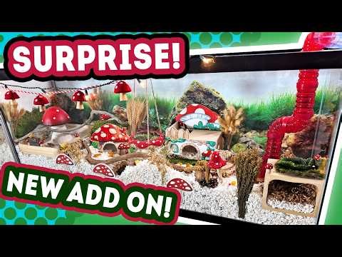 Giving My Hamster More Space! A Second Cage Add-on!