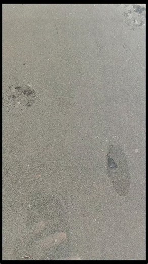 🌼 SUHANA PARBIN 123 on Instagram: "Capital letter B art #artist❤️⭐ #trend"