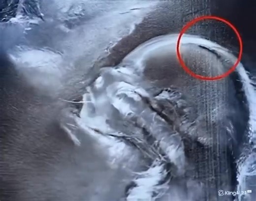 15K views · 13 reactions |  A Miracle Baby Like No Other: What...