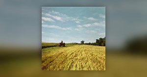 Cutting Hay - Farm Tales and Cow Pies