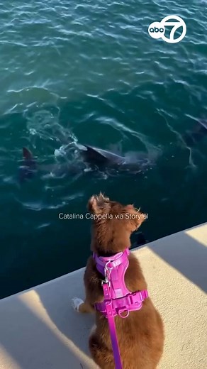 294K views · 3.8K reactions | A woman captured on camera a moment she...