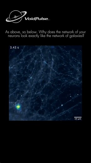 Your Brain: COSMIC Mirror of the #space #shorts