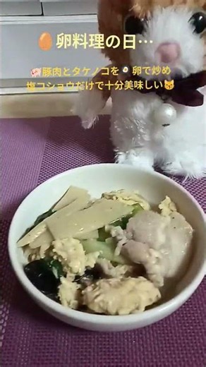 #5/22#卵料理の日#豚の卵とじ#料理#簡単#美味しい#ショート#しゃべる猫