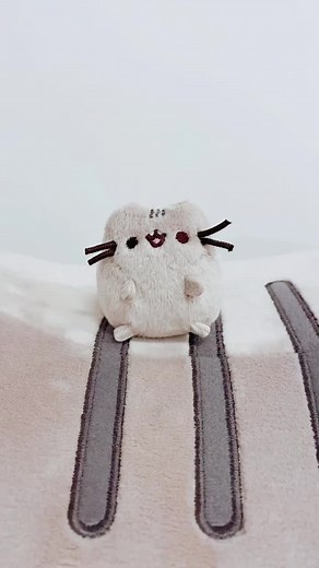 Adorable Pusheen Plushies Collection | Cute and Kawaii