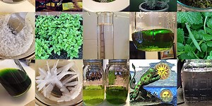 Primum Ens Plant Alchemy Training