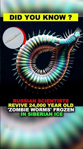 Frozen for 24,000 Years! Scientists Revive Ice Age Animals in Siberia | Shocking Survival Discovery