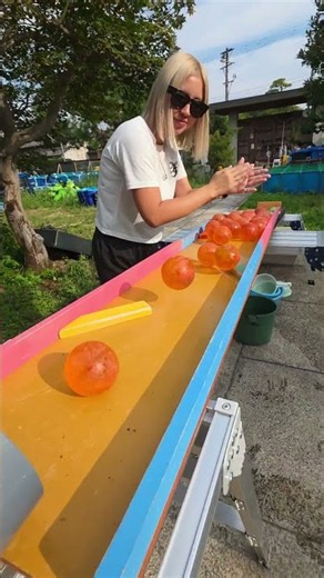Epic Marble Run with Colorful Balls│ASMR & Satisfying︎🌟