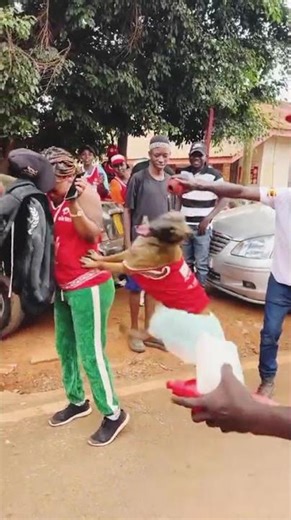 Happening Live at Kabaka's Birthday #shorts #music #ugandanmusic