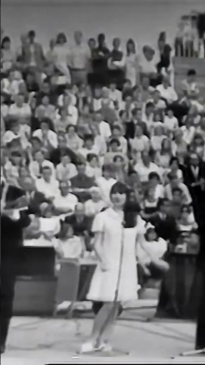 The Seekers (2) #60smusic #music #australianrock #rock #folkmusic
