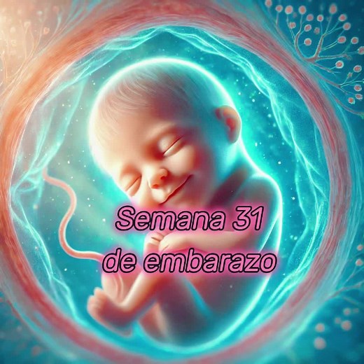 Semana 31 de Embarazo: Qué Pasa, Peso del Bebé y Posición