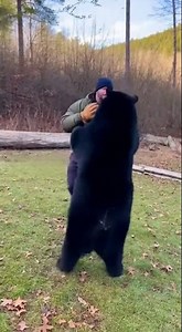 Man Challenges Bear to a Boxing Match 🥊🐻! Who Wins? 🤔 - Must Watch!