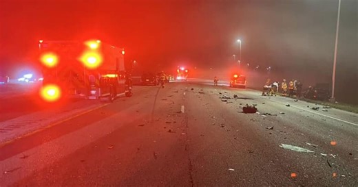 Port St. Lucie woman, 25, involved in I-95 wrong-way crash that killed 2, FHP says