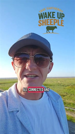 Unity through truth. #unity #truth #wakeup #creation #love #light | Jack Maclean