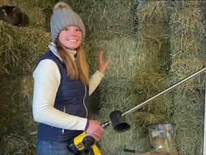 How to Test Your Horse Hay