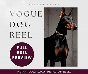 Vogue Dog Fashion Reel | Editorial Pet Video | Dog Wearing Collar | Designer Dog Mom Aesthetic | Luxury Pet Content - Etsy