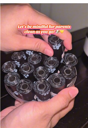 Responsible Pet Ownership: The Poop Bag