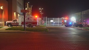 Man hit by train after seen walking along tracks by conductor