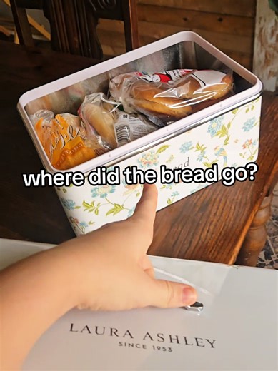 Organize Your Kitchen with This Huge Bread Box!