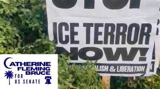 Catherine Fleming Bruce for US Senate Statement and Call to Action on ICE murder of Alex Pretti