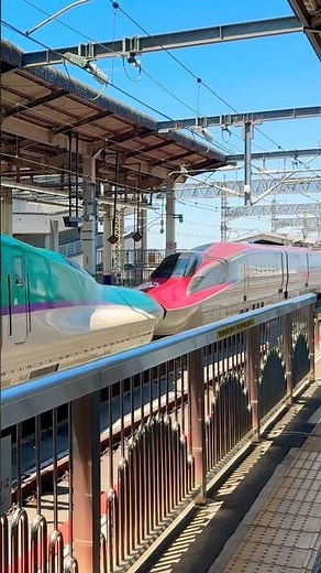 H5系H3編成×E6系Z19編成🚄#北海道新幹線 #秋田新幹線 #h5系 #e6系 #shinkansen #新幹線