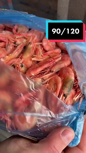 Fresh Seafood Delivery in Khimki and Dolgoprudny: Langoustines and More