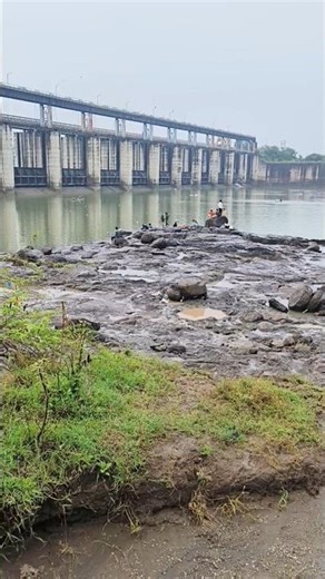 dam overflow in this year #dam #shorts #viral #trending #water #waterfall