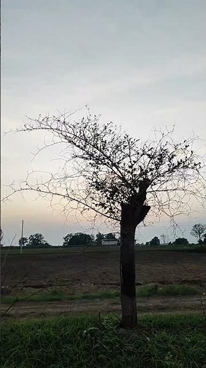 Breathtaking Nature in 30 Seconds 🌿 | Relaxing Wilderness Short