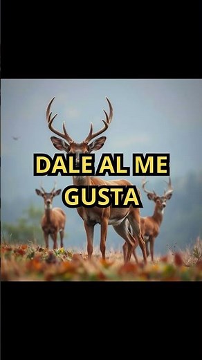 Especies de Venado